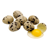 Huevos Fértiles Codorniz Coturnix Japonica 12 Unidades