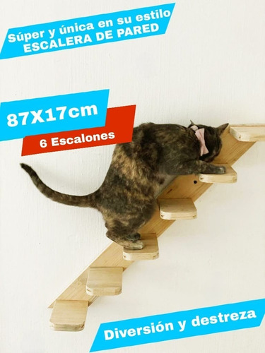 Escalera Para Gatitos Madera Rem002