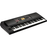 Korg Ek50l Limitless Teclado Arranger 61 Teclas