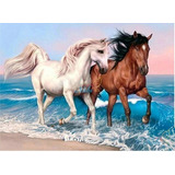 Tela Pintura Diamante 5d Pronta Entrega Cavalo Montado Paint