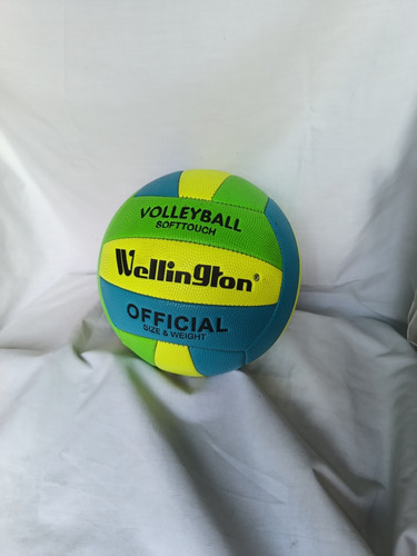 Pelota Voley Wellington