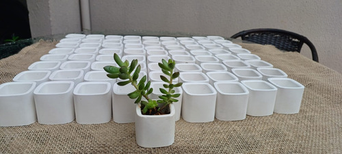 Kit50 Mini Vaso De Suculentas Plantas Gesso Branco Decoração