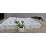 Kit50 Mini Vaso De Suculentas Plantas Gesso Branco Decoração