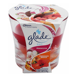 Glade Vela Hawaiian Breezee 96 G