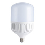 Bombillo Led Alta Potencia Luz Blanca  H. Power 50w E27