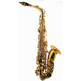 Saxo Alto La Sax (usa) Big Lip 