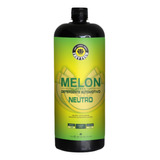 Shampoo Automotivo Melon Neutro 1:400 1,5l Easytech