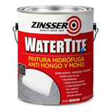 Watertite Impermeabilizante Bloqueador De Humedad X 3,78 Lts