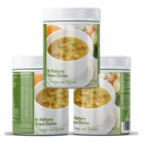 3uni Sopa Detox Frango C/ Legumes (3x 450gr) - In Natura