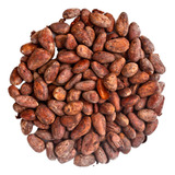 Cacao - Grano/ Semilla - 1 Kg - Producido En Chiapas 