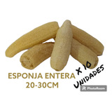 Esponja Vegetal- 100% Ecológica Y Biodegradable