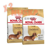 Royal Canin Dachshund Adulto 3 Kg X 2 Unidades Salchicha