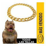 Cadena Para Perros Tipo Cubana Color Dorado Tipo Castigo