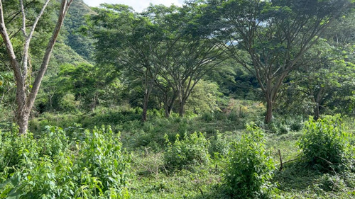 Finca Lote Barata En Venta Precio Oportunidad - Imagen 4