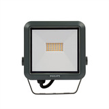 Reflector Proyector Led Philips 30w Pack X2