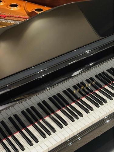 Piano De Cauda Yamaha Gb1k