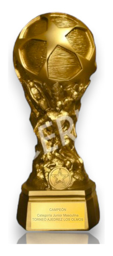 Trofeo Futbol Personalizado Copa Estrella 35 Cms As01