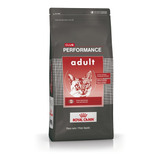 Club Performance Gato Adulto X 7.5 Kg