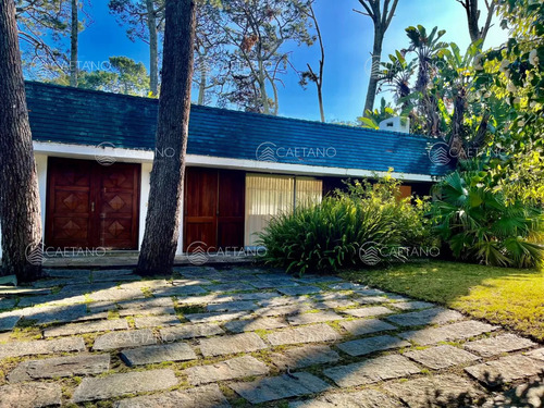 Venta Casa Con Terreno De 6600m2 Por Pedragosa Sierra, Punta Del Este