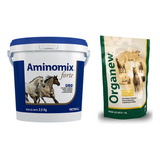 Suplemento Aminomix Forte 2,5 Kg + Organew 1 Kg - Vetnil