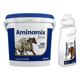 Combo Aminomix Forte 2,5kg + Glicopan Energy 1 Litro Equinos