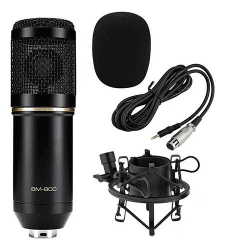 Microfone B800