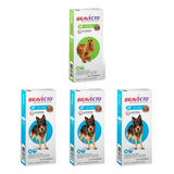 01 Bravecto Cães 10 20kg 500mg E 03 Bravecto 20 40kg 1000mg