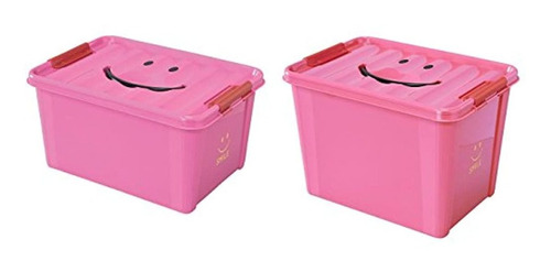 Caja De Almacenamiento,2 unid. 11.02x 15.75x 10.83in.rosado