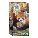 Rompecabezas Panda Rojo 250 Pz Coleccion Naturaleza Red