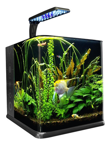 Kit Acuario Nano Cubo 18 Lt Vidrio Luz Led Filtro Por Etapas