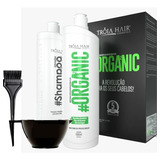 Kit Escova Semi Definitiva S/ Formol Organica  Hair Pro