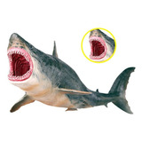 Figura De Ação Sea Life Megalodon Model Em Pvc Ocean Animal
