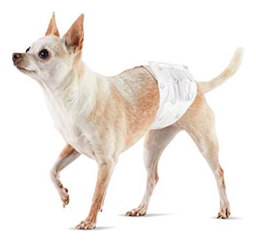 Pañales Desechables Para Perros Machos, Talla Xs, 30