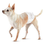 Pañales Desechables Para Perros Machos, Talla Xs, 30