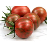Tomate Hibrido Tigre - 70mg / 20 Sementes