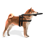 Coleira Guia Cachorro Cego Aro Regulável Proteção Pet Cão