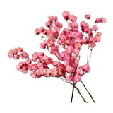 Kit De 3 Bougainville Rosa - Flores Desidratadas