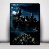 Kit De Pintura De Diamante 5d Harry Potter Noche Estrellada