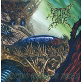 Septycal Gorge- Growing Seeds Of Decay Cd Jewel Case(import)