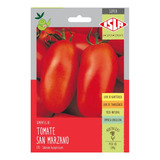 Sementes De Tomate San Marzano - 3gramas De Sementes