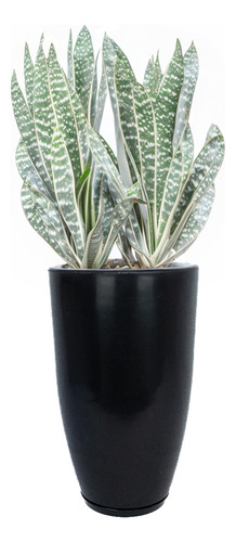 Vaso Para Planta Luxo Brilho Com Prato 50cm