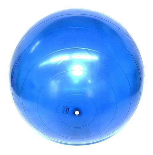 Pelota 55cm Esferodinamia Pilates Yoga Fitball Gmp Rehabilitación Gimnasia - Fabrica