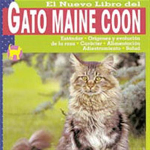 Gato Maine Coon - Aa,vv