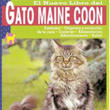 Gato Maine Coon - Aa,vv
