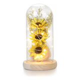 Regalo Eternidad Girasol Luz Led