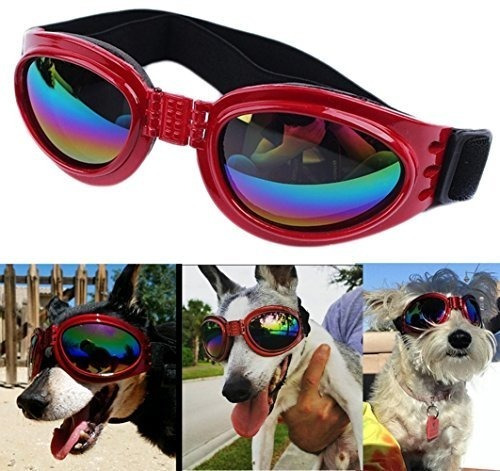 Lentes Goggles Para Perros Color Rojo Metalico