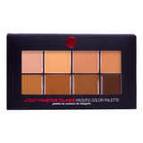 Paleta De Rostro Master Class Medium/deep