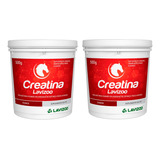 Creatina Lavizoo 500g Massa Muscular  Equinos Kit 2 Unidades