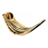 Shofar Chifre De Carneiro De Tocar - 34 A 36 Cm - De Israel