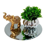 Kit Elefante Hindu + Vaso C/planta + Bandeja Espelhada Decor